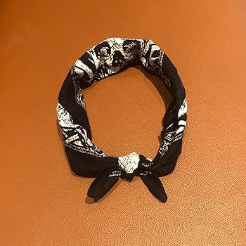 Amazon.com: WEIXINDIY 3 Pack Paisley Pattern Skull Bandanas Scarf